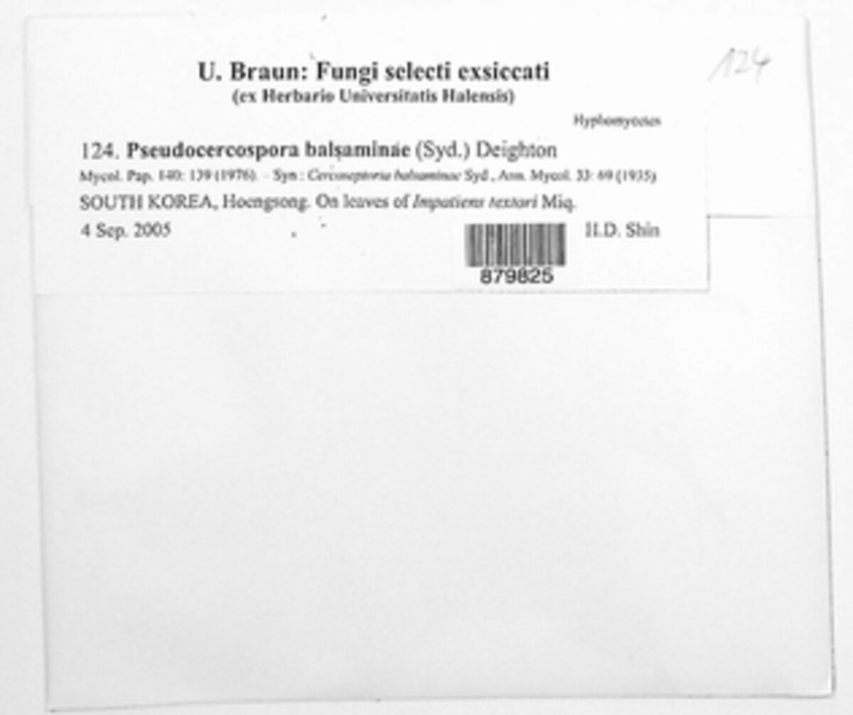 Pseudocercospora balsaminae image